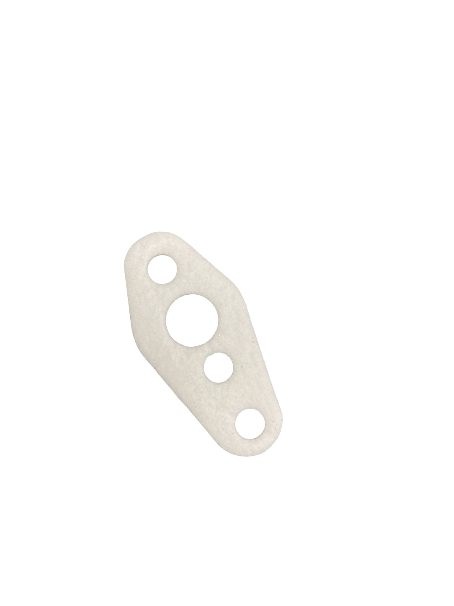 Gasket, Electrode